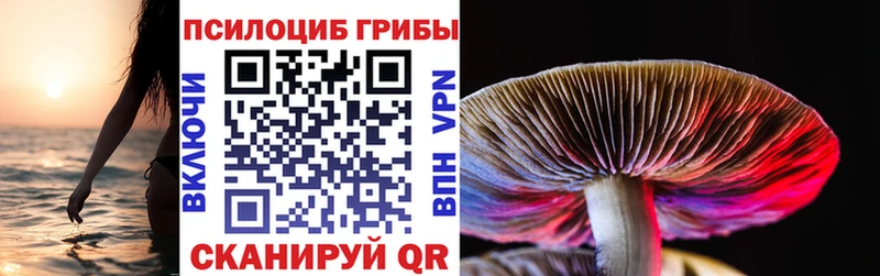 Псилоцибиновые грибы Magic Shrooms  сайты даркнета клад  Демидов 
